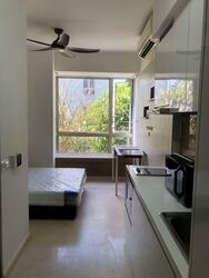 Flamingo Valley (D15), Condominium #565317361